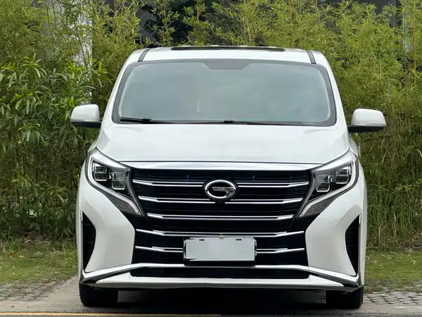 GAC Trumpchi M8 2021