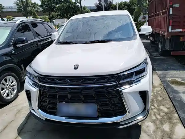 Dongfeng Fengxing T5 2024
