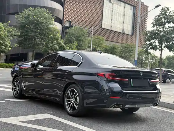BMW 5 Series New Energy 2021