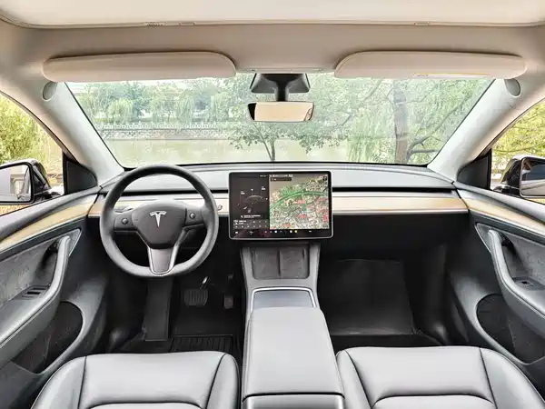 Tesla Model Y 2021