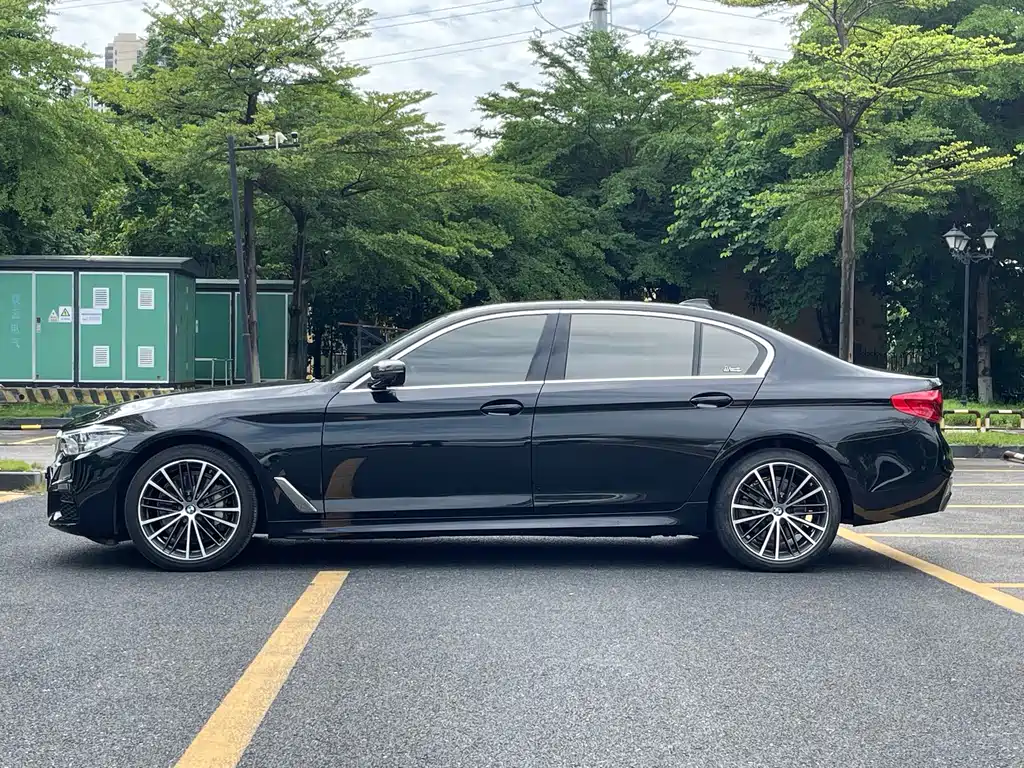 BMW 5 Series 2019