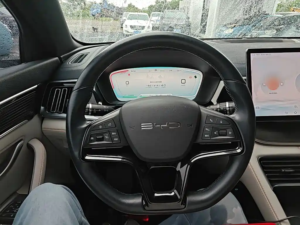 BYD PLUS New Energy 2023 — фото 11