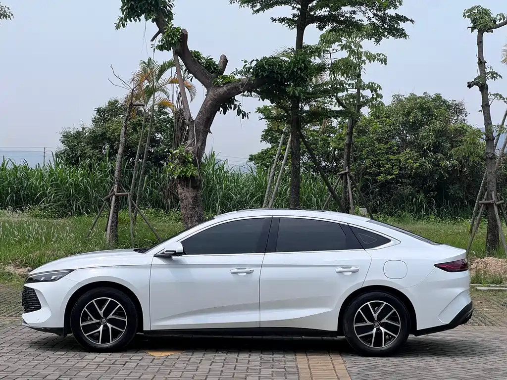 BYD Qin L 2025 — фото 4