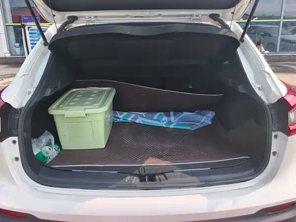 Nissan Qashqai 2021