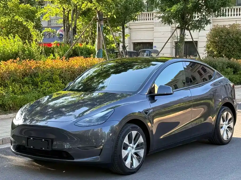 Tesla Model Y 2021 — фото 1