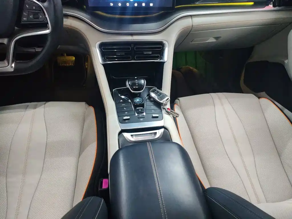 BYD Song PLUS New Energy 2022 — фото 10