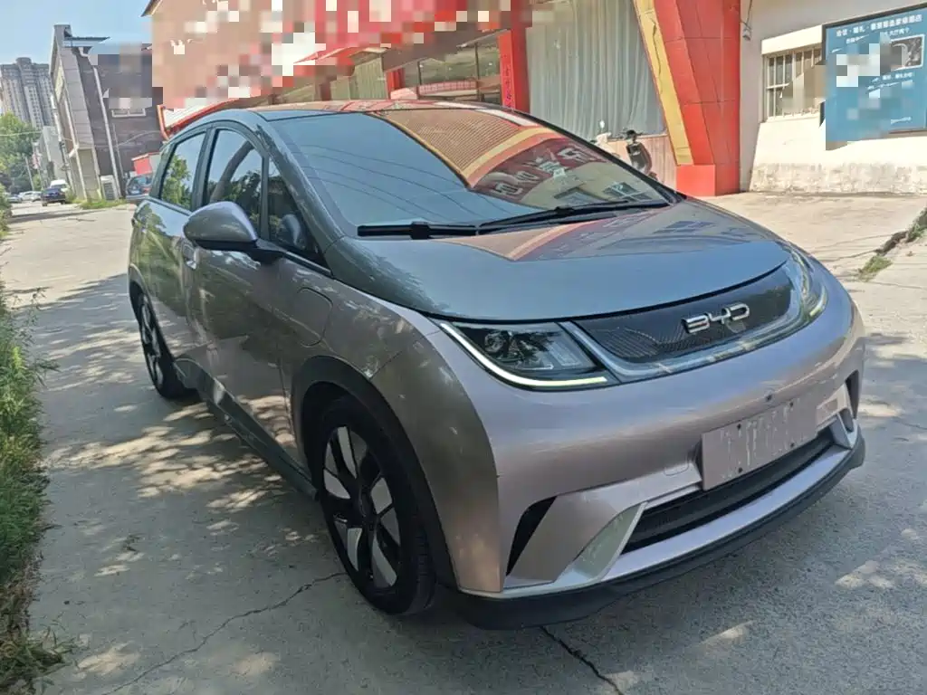 BYD Dolphin 2022