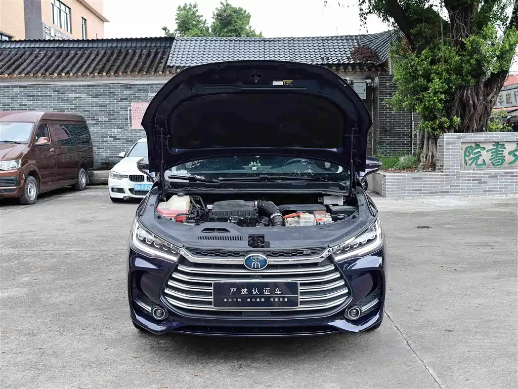 BYD MAX New Energy 2019 — фото 23