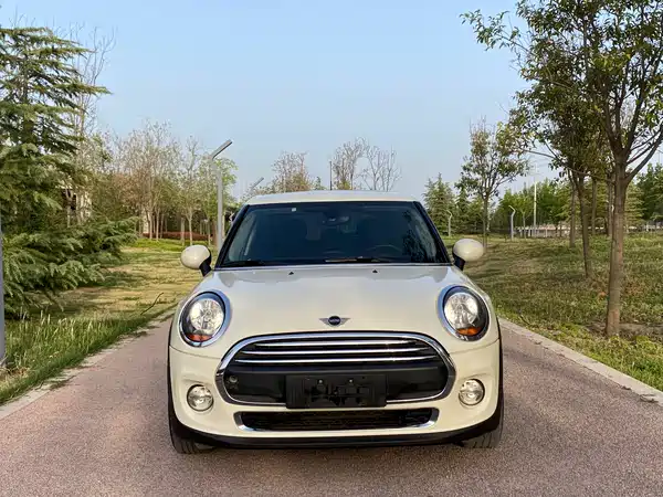 MINI 2019