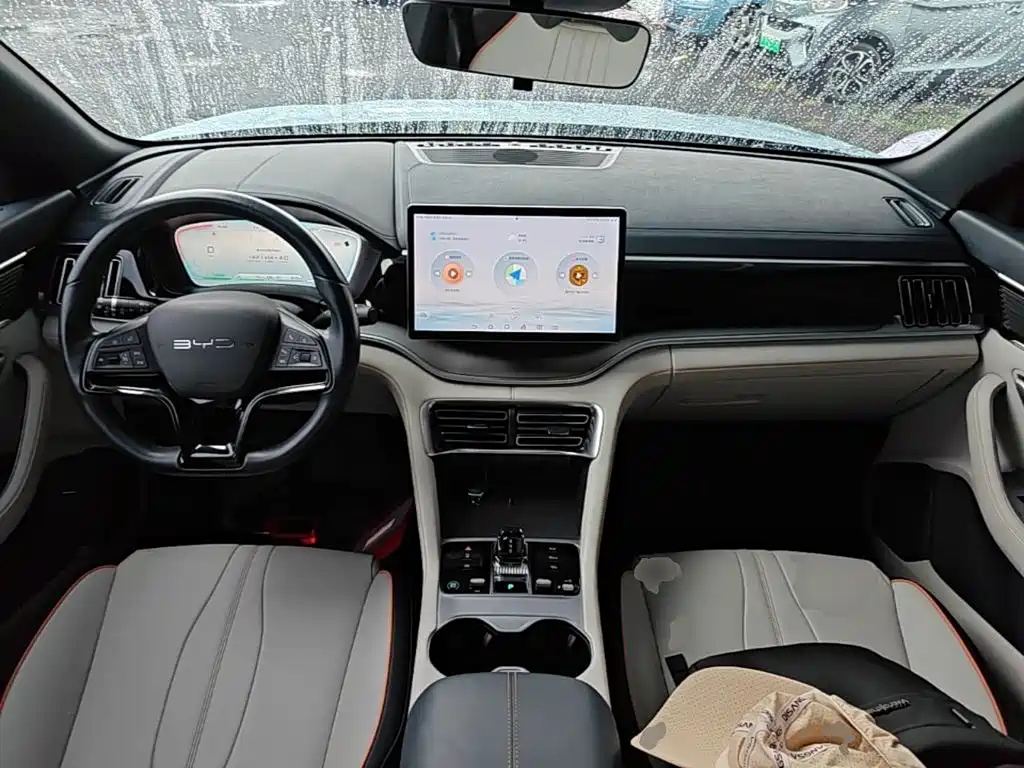 BYD PLUS New Energy 2023 — фото 10