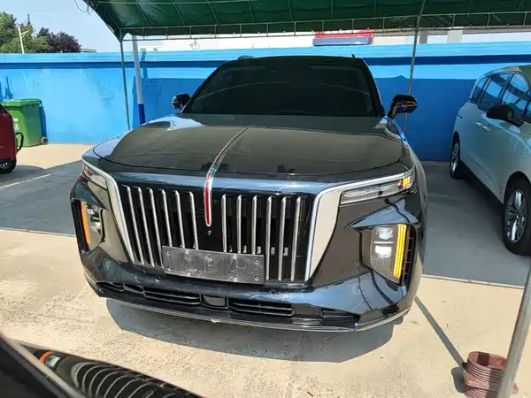 Hongqi E-HS9 2023