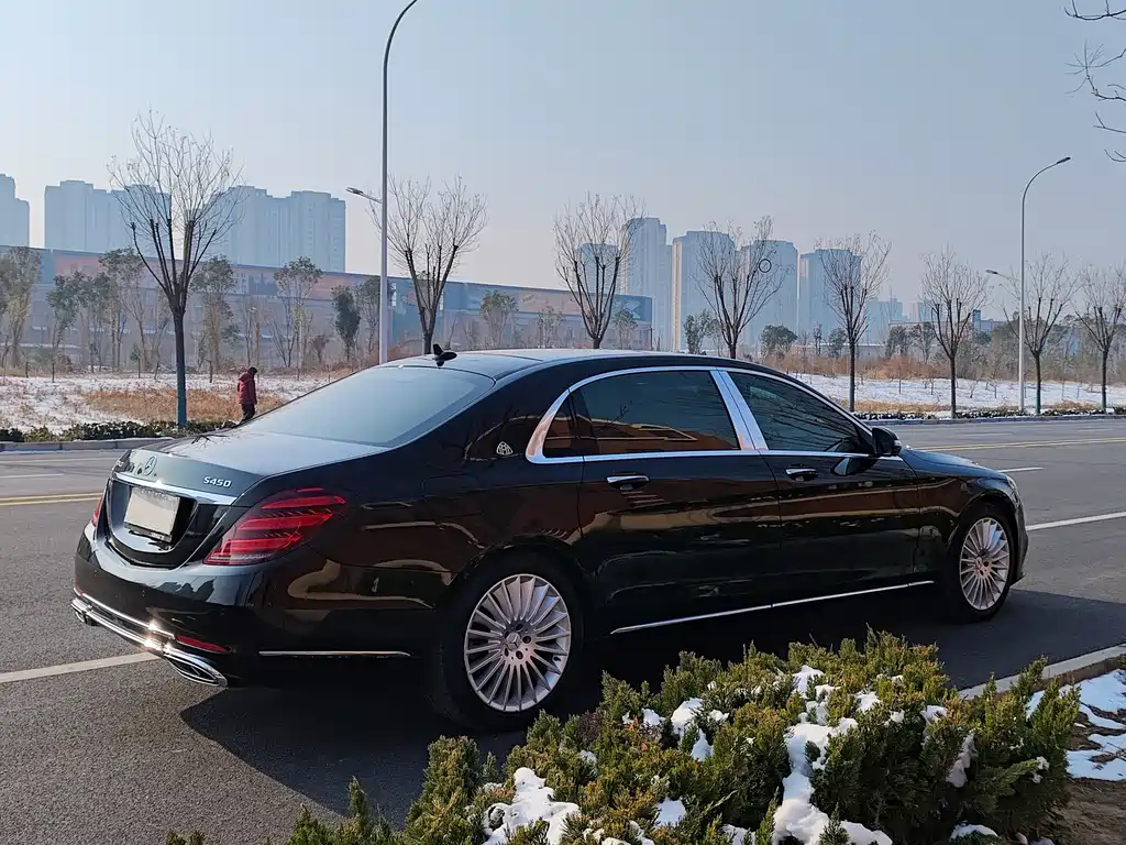 Mercedes-Benz Maybach S-Class 2019 — фото 19