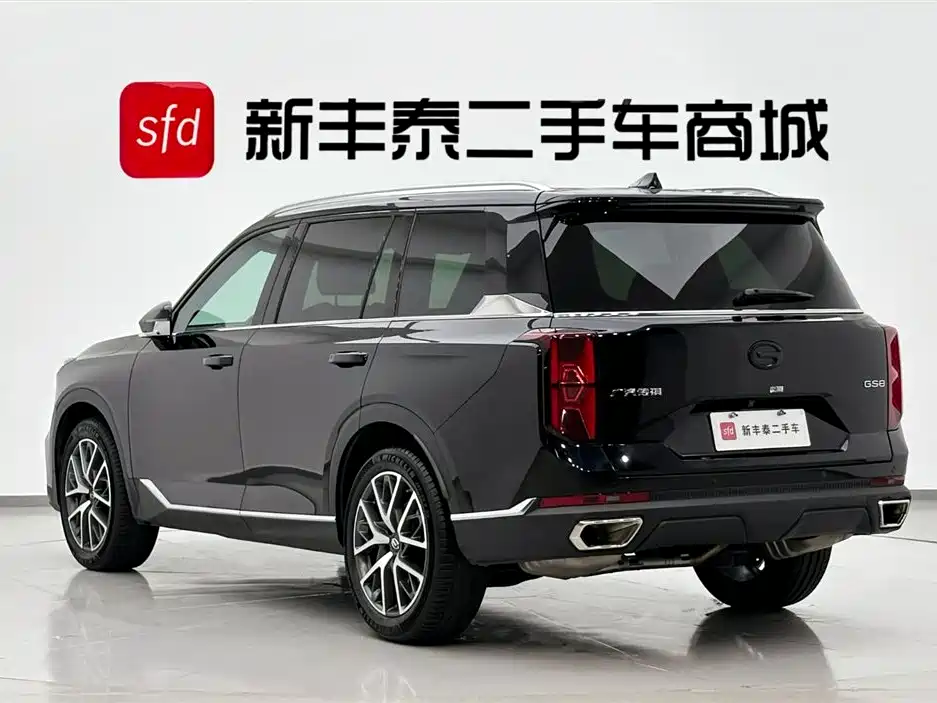 GAC Motor Trumpchi GS8 2024 — фото 6