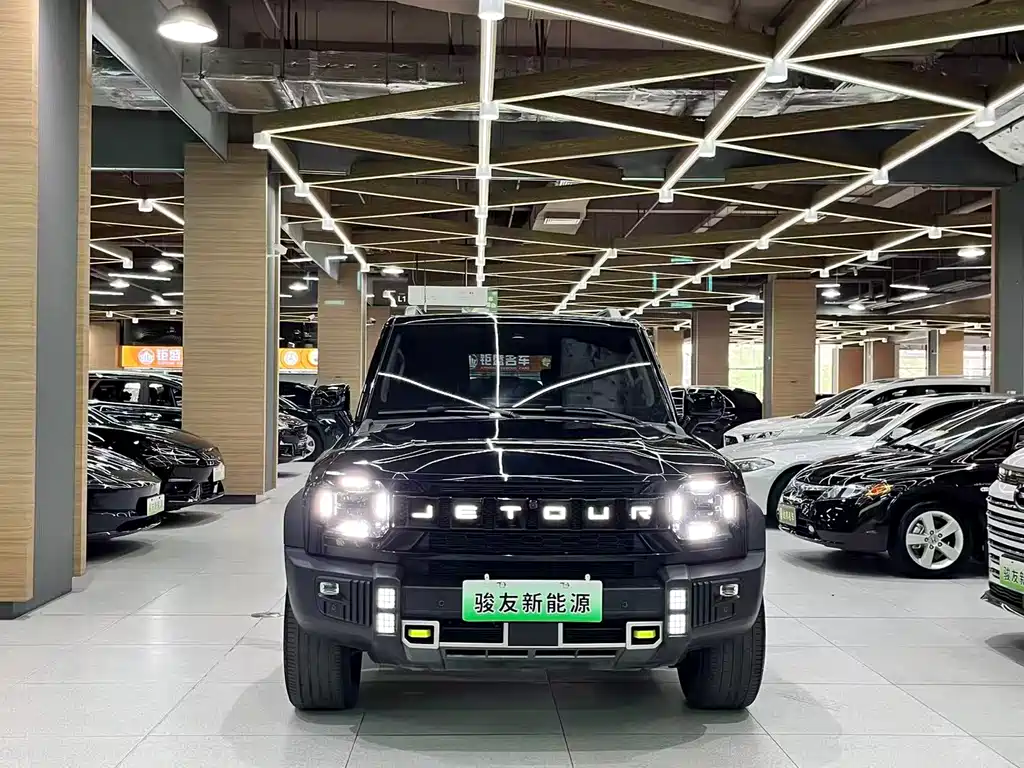 Shanhai Traveller C-DM 2024 — фото 3