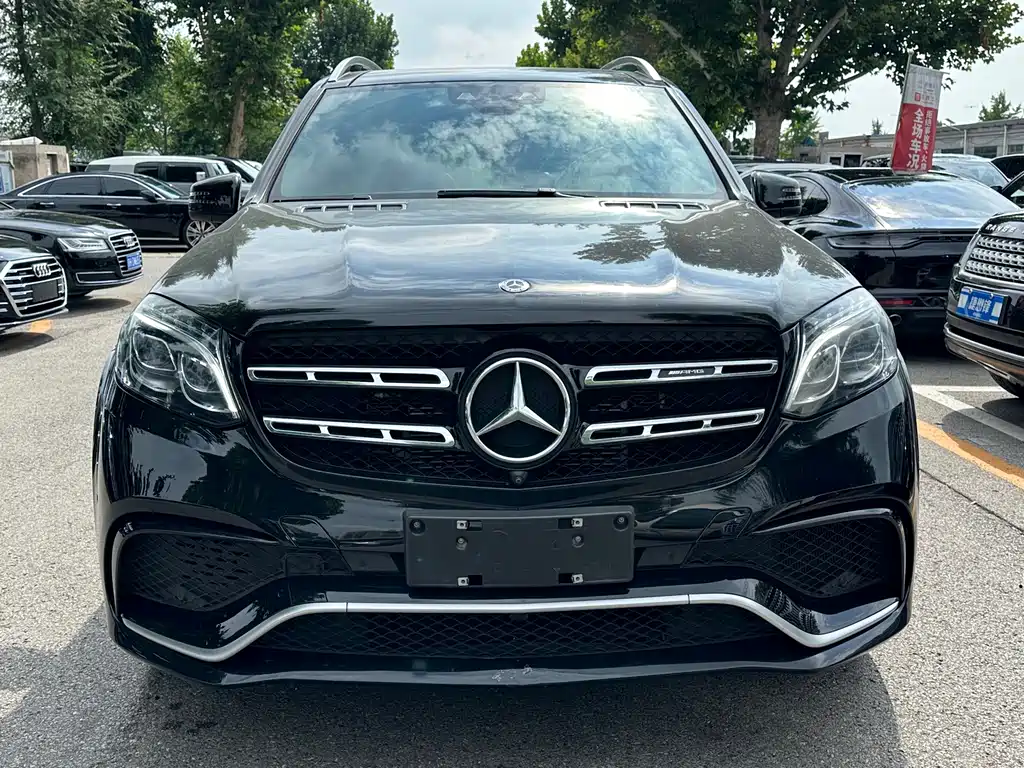 Mercedes-Benz GLS AMG 2017 — фото 2