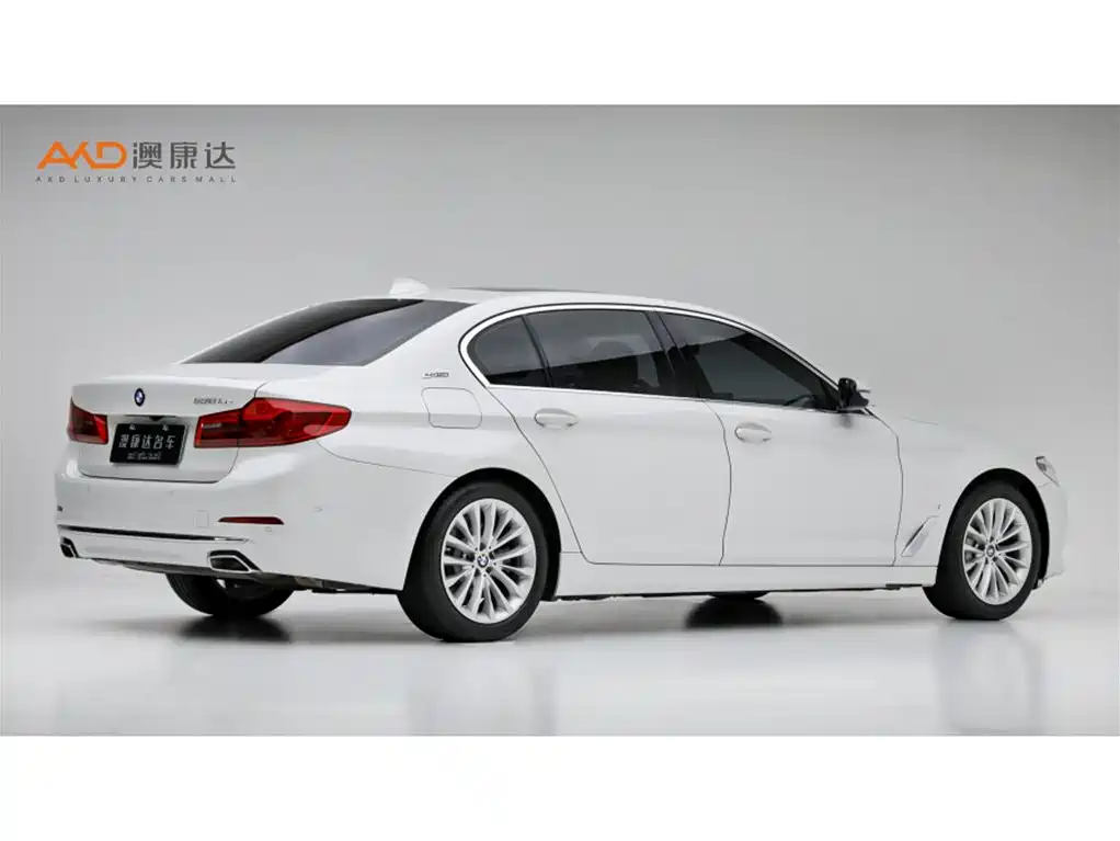 BMW 5 Series New Energy 2019