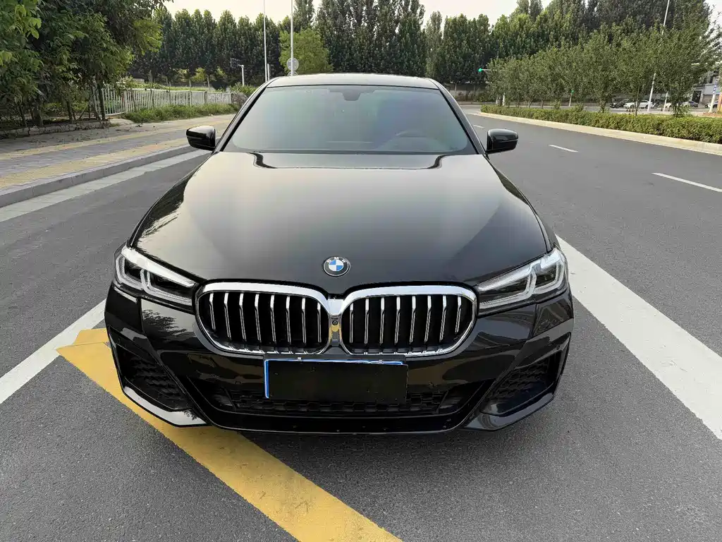 BMW 5 Series 2017