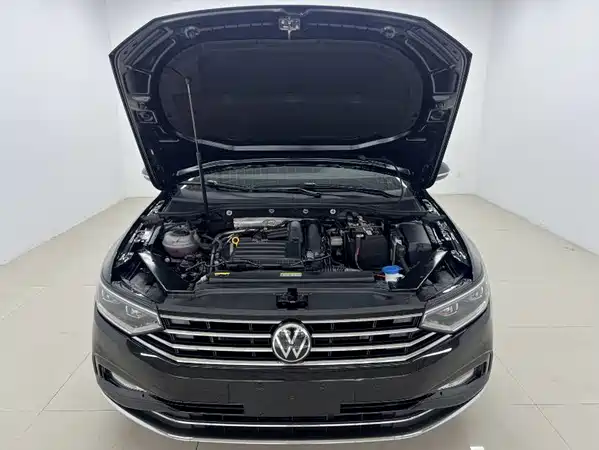Volkswagen Magotan 2022