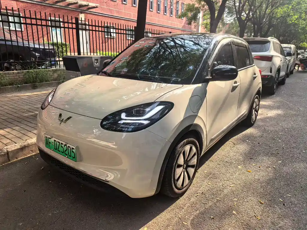 Wuling Bingo 2024