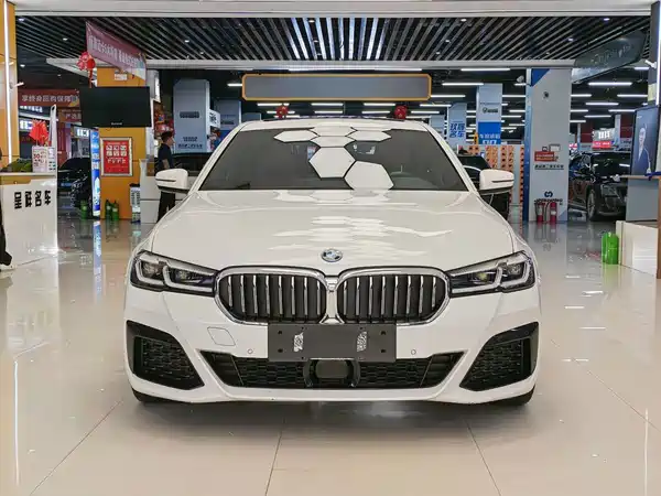 BMW 5 Series New Energy 2022