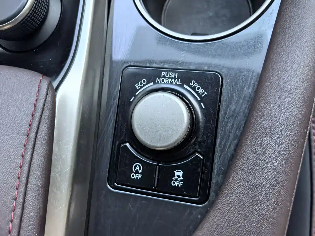 Lexus RX 2019 — фото 15
