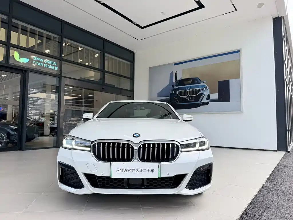 BMW 5 Series New Energy 2021