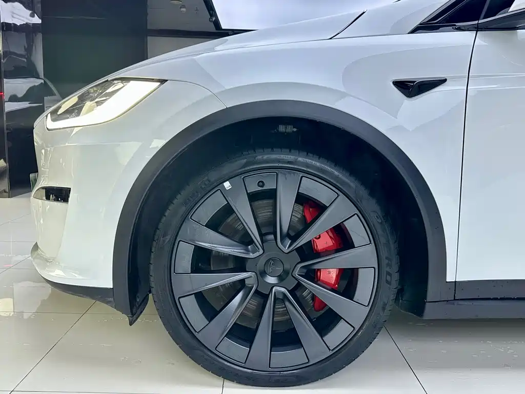Tesla Model X 2023 — фото 14