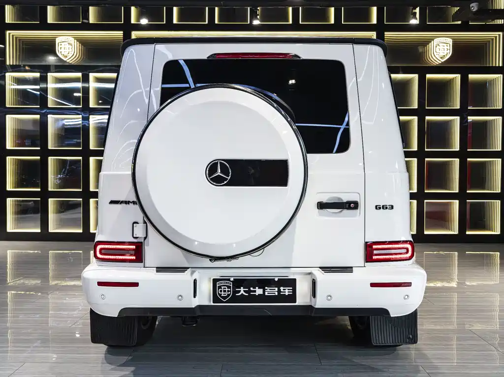 Mercedes-Benz G-Class 2021 — фото 5