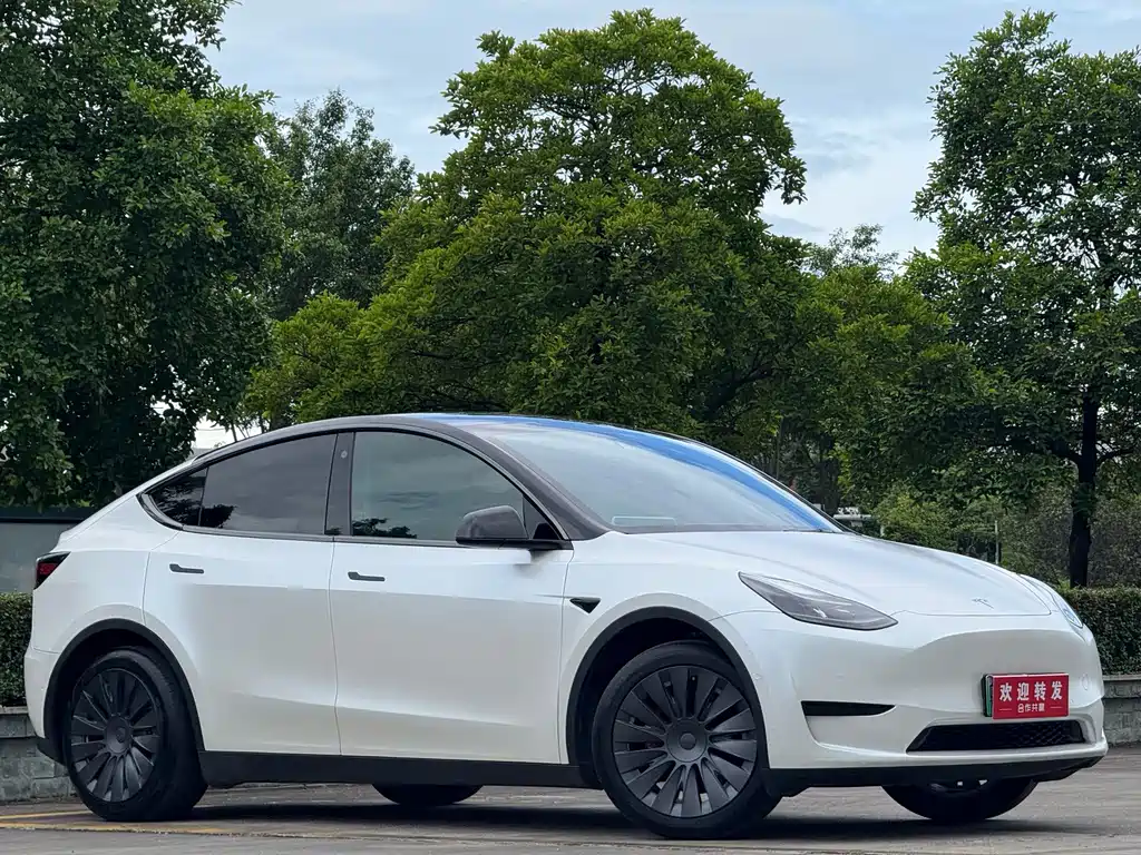 Tesla Model Y 2023 — фото 3