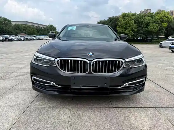 BMW 5 Series New Energy 2019