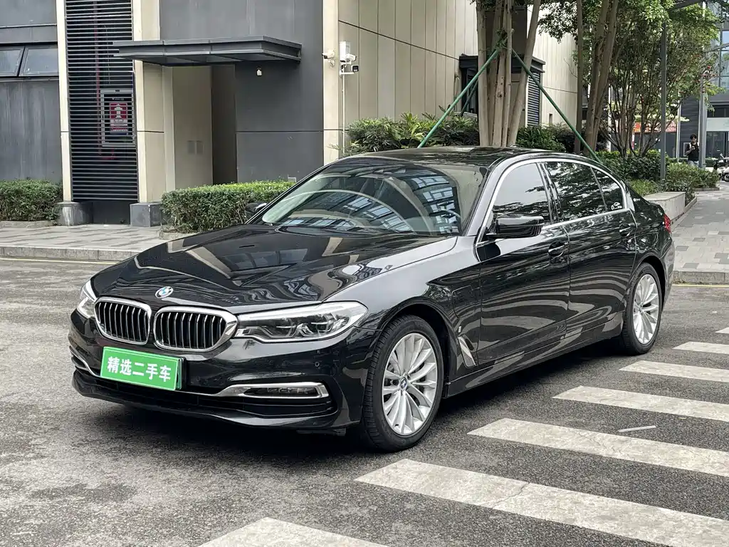 BMW 5 Series New Energy 2019