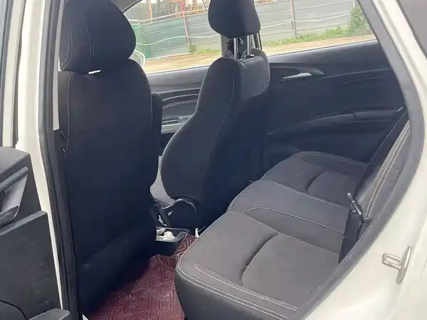 Neta V 2020