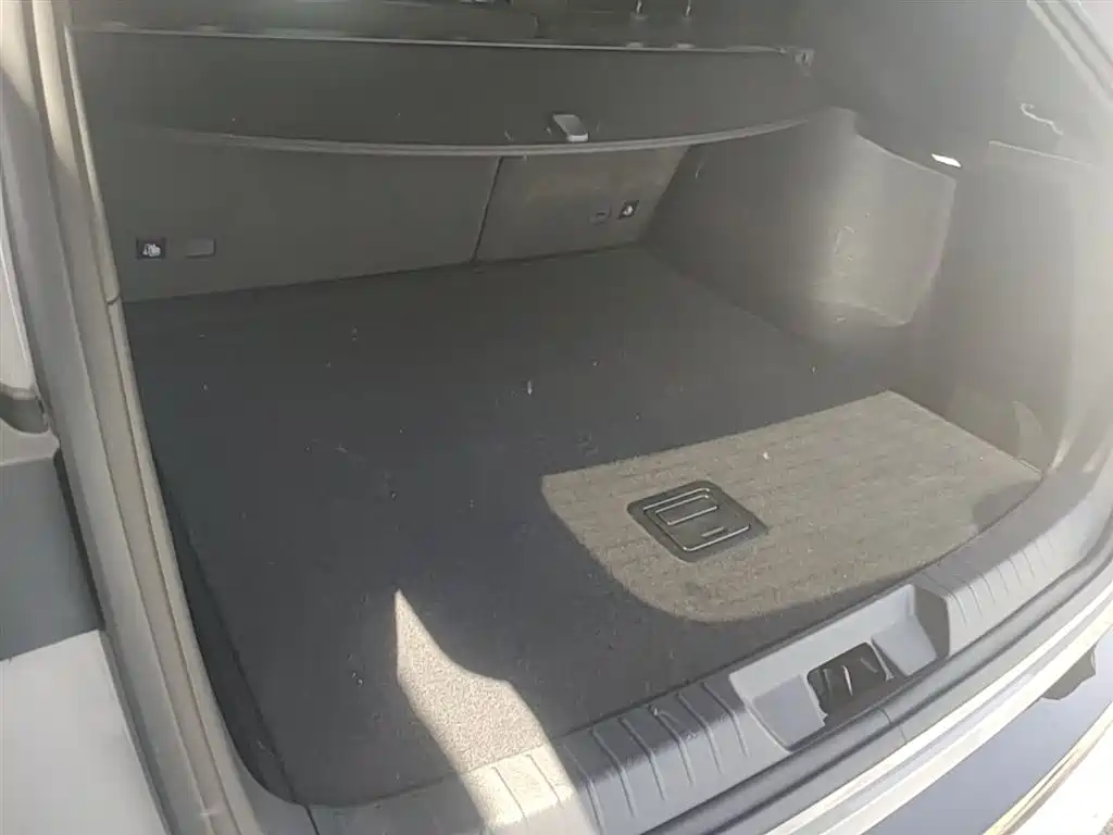 BYD PLUS New Energy 2023 — фото 19
