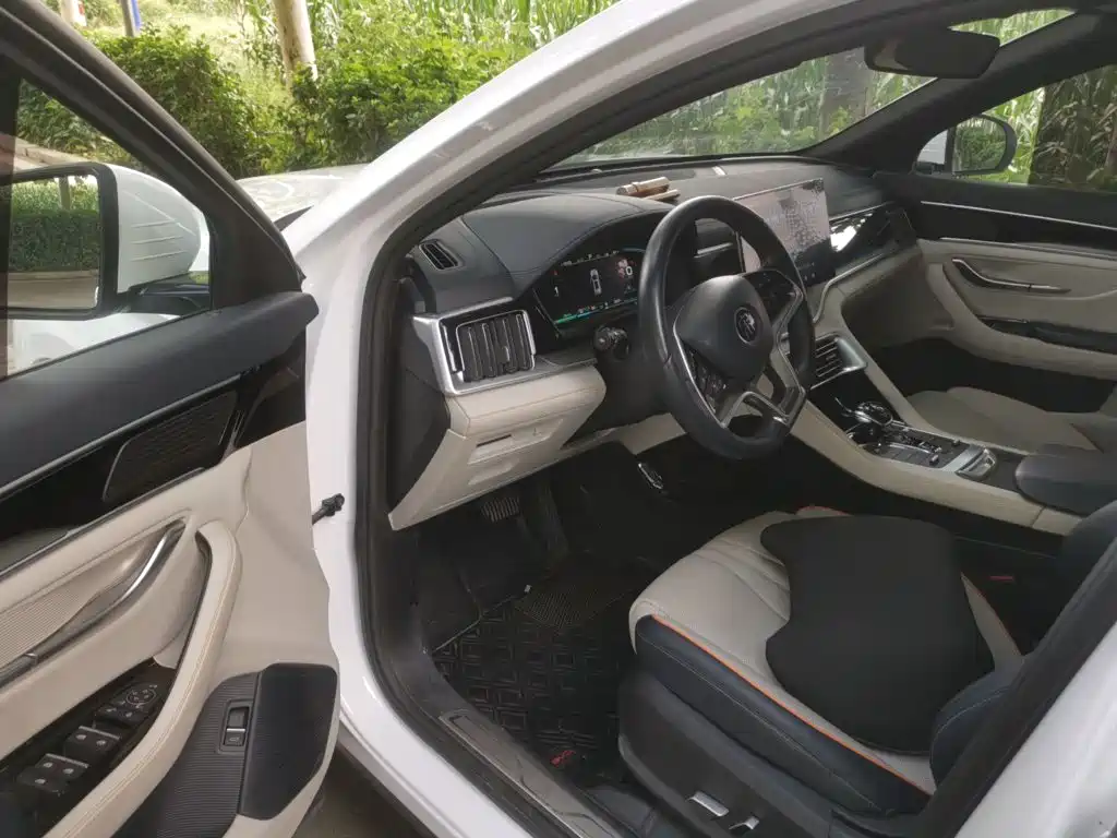 BYD Song PLUS New Energy 2023 — фото 17