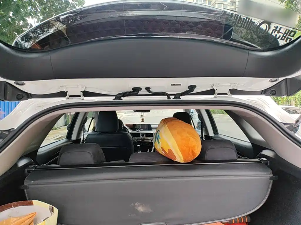 Lexus RX 2016 — фото 19