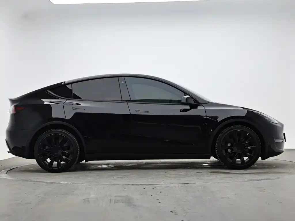 Tesla Model Y 2021 — фото 6