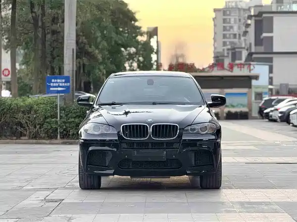 BMW X6 M 2010
