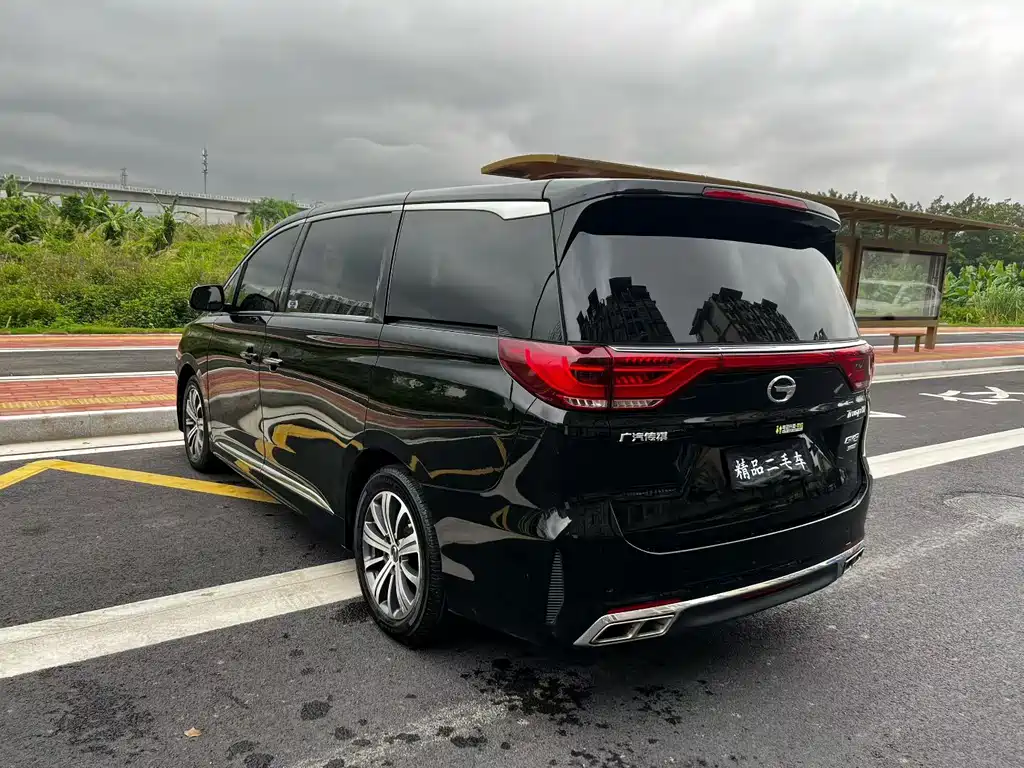 GAC Trumpchi M8 2020 — фото 4