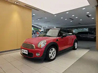 MINI MINI 2012