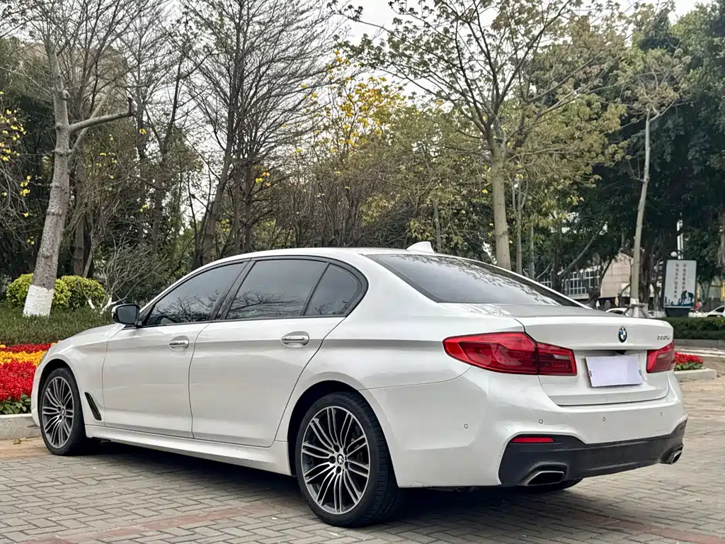 BMW 5 Series 2017 — фото 7