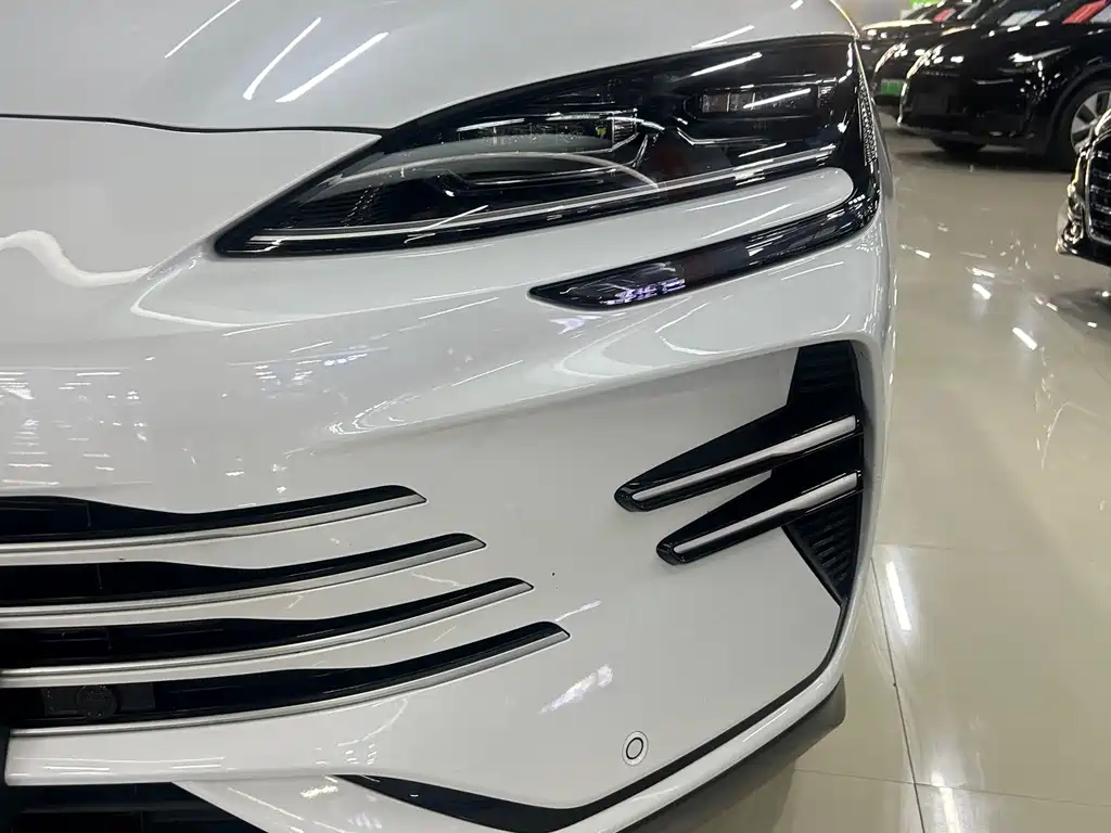 BYD Song PLUS New Energy 2024 — фото 10