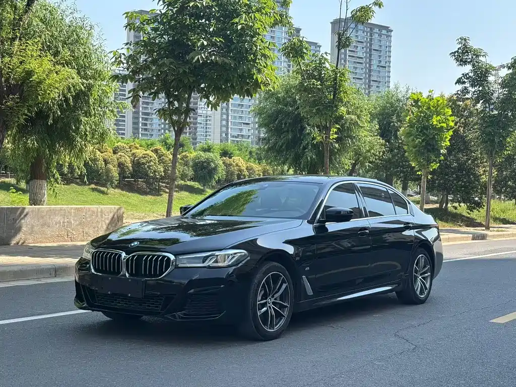 BMW 5 Series New Energy 2020 — фото 1