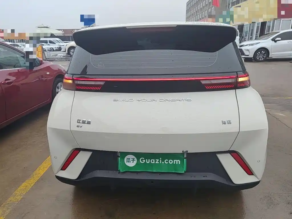 BYD Seagull 2024