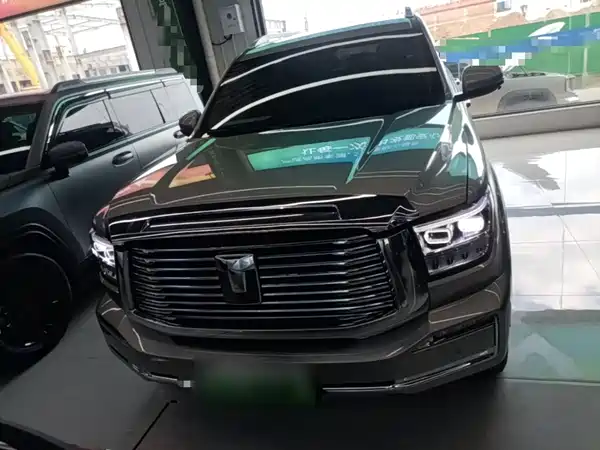 Tank 500 New Energy 2025