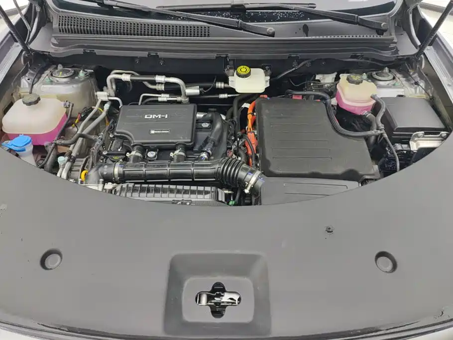 BYD Song Pro New Energy 2025 — фото 10