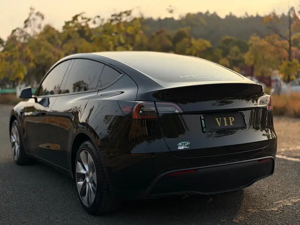 Tesla Model Y 2023 — фото 10