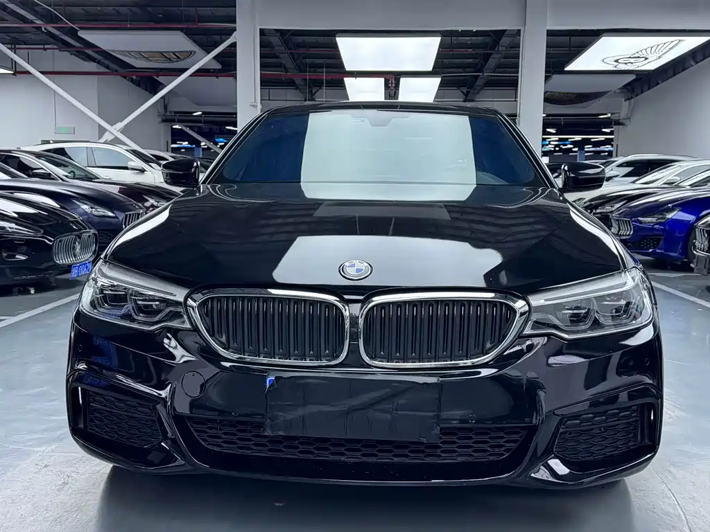BMW 5 Series 2019