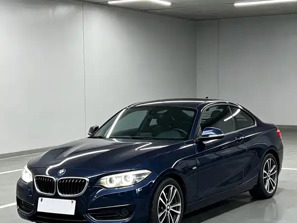 BMW 2 Series 2019