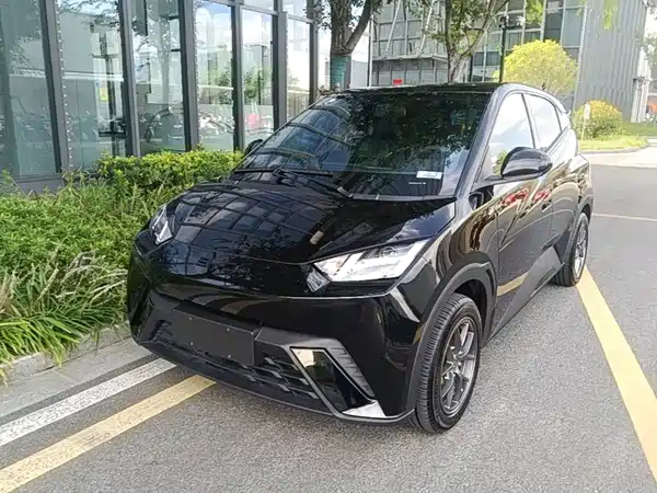 BYD Seagull 2024