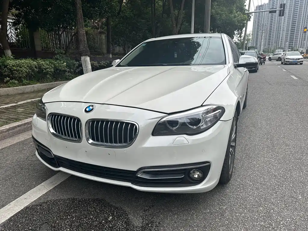 BMW 5 Series 2015 — фото 1